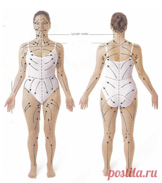 Эта процедура стимулирует лимфатическую систему, улучшает пищеварение и функцию почек Многие люди, как правило, тщательно ухаживают за кожей лица, регулярно делая пилинг, чистку и увлажнение. Но когда в последний раз вы заботились о коже на остальных частях вашего тела?Ваша кожа – ваш ...