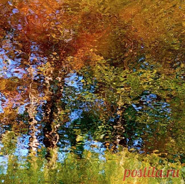 Невероятные фотографии, которые выглядят как картины.
"Отражения в воде"
Графический дизайнер Денис Коллетт создал серию снимков под названием «Вода», которая представляет собой коллекцию изображений, на которых запечатлены отражения в озере возле его загородного дома. «Я сделал тысячи фотографий с отражением и все они уникальны. На них видны деревья, полевые цветы и голубое небо. На снимок влияют несколько факторов: ветер, свет, течение и даже уровень воды. Рябь делает эти снимки ун