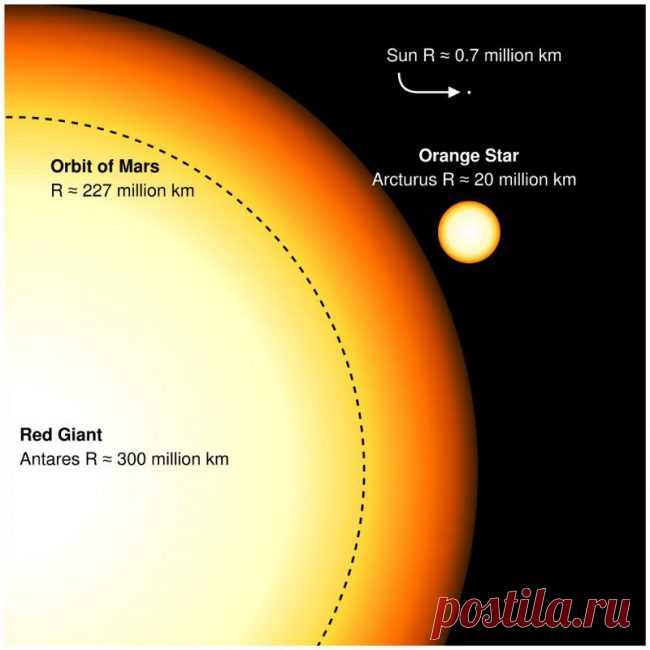Почему у звезд разные размеры? | Наука и жизнь