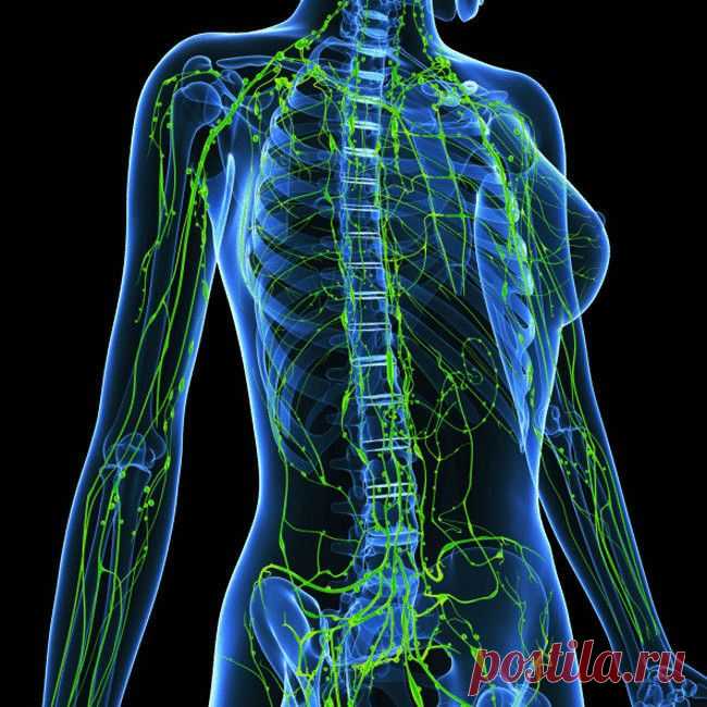 Ольга Бутакова: Лимфатическая система, о чем не знают 90% врачей