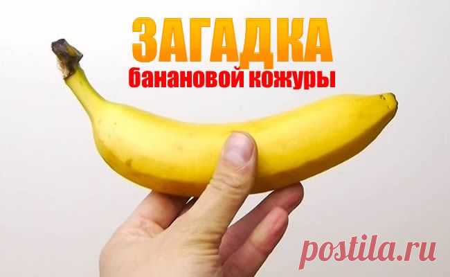 Вторая жизнь банановой кожуры