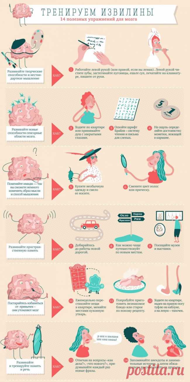 Тренируем извилины. 14 полезных упражнений для мозга / Будьте здоровы