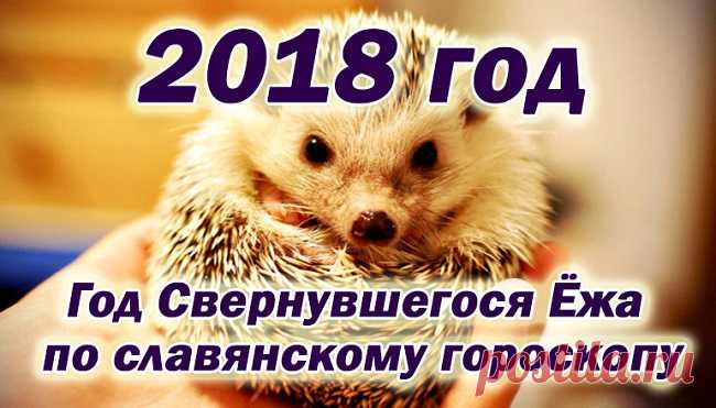 По славянскому календарю 2018 - год свернувшегося ежа.