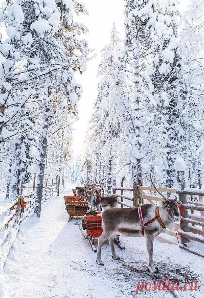 Берегите Себя.... и Своё Душевное ТЕПЛО..... Несмотря на Погоду ....и на Временные Жизненные Трудности.....