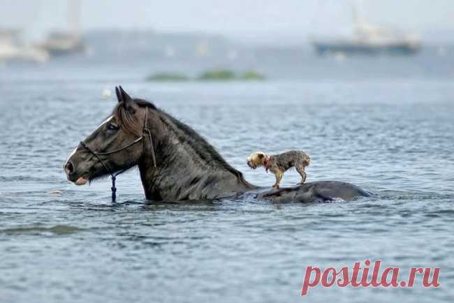 Услышь шорох того, кто придерживает в своих руках твою жизнь Это очень тонкий момент - замечать поддержку.