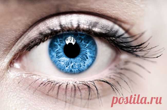Клей для глаз, который защитит от слепоты | Наука и жизнь