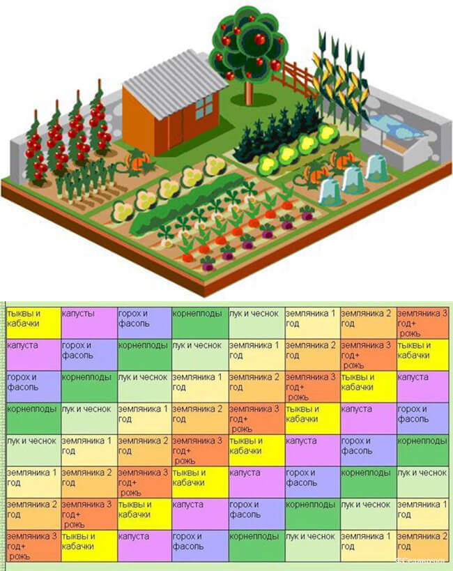 План посадок в огороде. Схема посадки огорода. Расположение овощей на грядках. План посадки овощей на огороде.