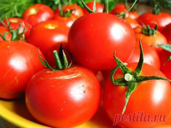 Волшебный бальзам» для роста помидоров от садовода-огородника Владимира Андриянина.