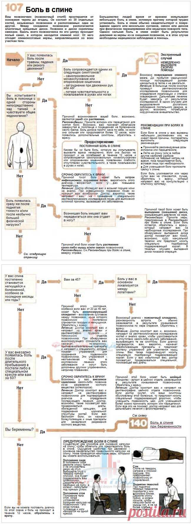 Боль в спине-чем она может быть вызвана?.