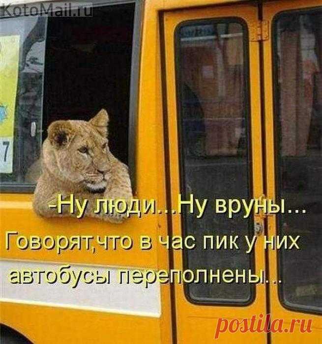 Час пик