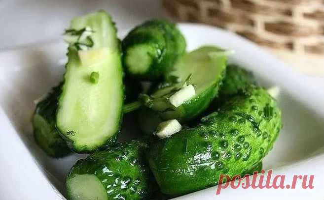 Малосольные огурцы с зеленью и чесноком быстрого приготовления: рецепты хрустящих огурцов
