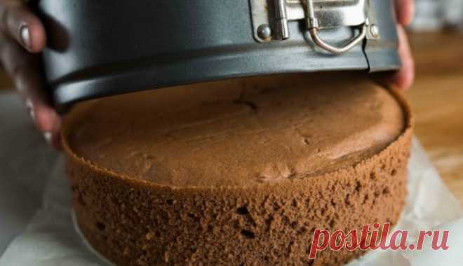 Рецепт идеального шоколадного бисквита. Прекрасная основа для самых разнообразных тортов! Готовим шоколадный бисквит для торта. Получается влажный и пышный шоколадный бисквит, приготовленный в домашних условиях. Записывайте рецепт и узнайте как приготовить вкусный шоколадный бисквит!
