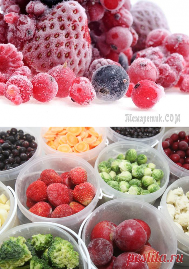 Какие ягоды и овощи можно замораживать на зиму, и как это правильно делать