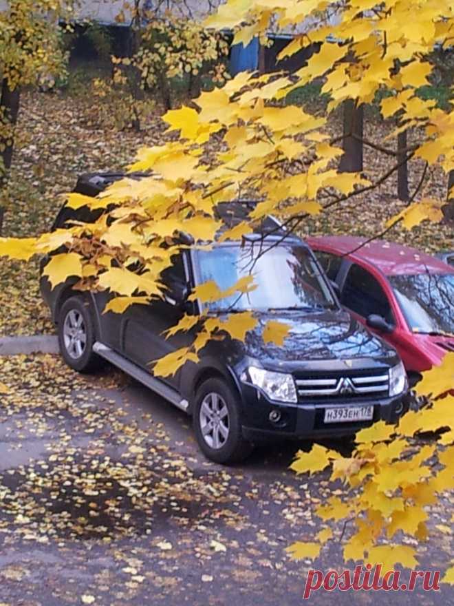 Мой ПАДЖЕРИК в осенней красоте