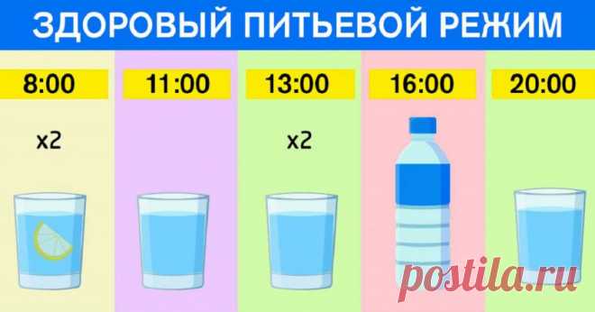 График для худеющих: ешь что хочешь и пей воду по часам. Результат — минус 15 % жира!