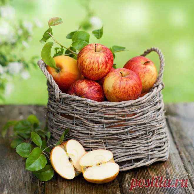 12 беспроигрышных способов заготовки яблок на зиму | Дачный участок