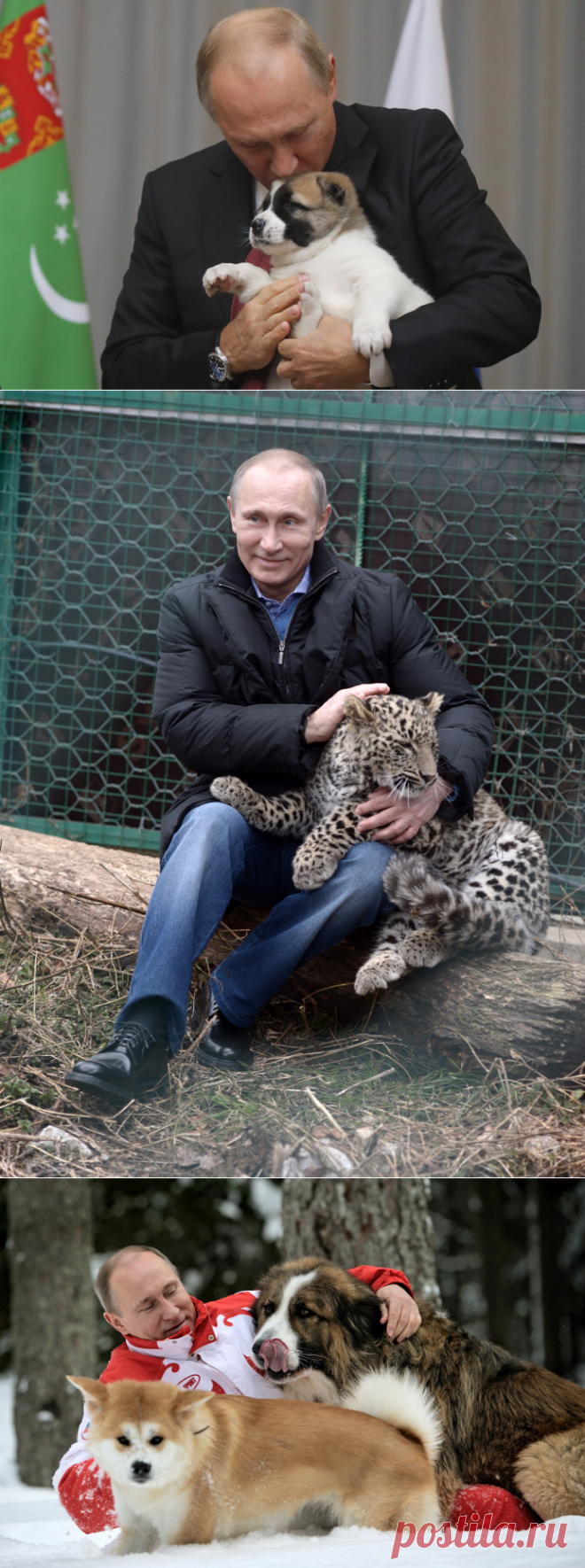 Зоопарк Путина | Geo - Непознанный мир: Земля