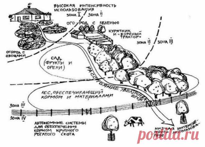 Пермакультура Зеппа Хольцера: принцип пермакультуры на огороде, даче, фото и советы — с чего начать природное земледелие | Houzz Россия