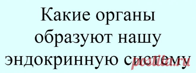 Какие органы образуют нашу эндокринную систему
Наша молодость, продление жизни, трудоспособность зависят от работы желез внутренней секреции. А это значит, что мы должны знать, каковы потребности этих желез.          Состояние психики и работоспособность мозга зависят от работы желез внутренней секреции. Все железы внутренней секреции взаимосвязаны. К сожалению, в лекарственной медицине каждой...
Читай дальше на сайте. Жми подробнее ➡