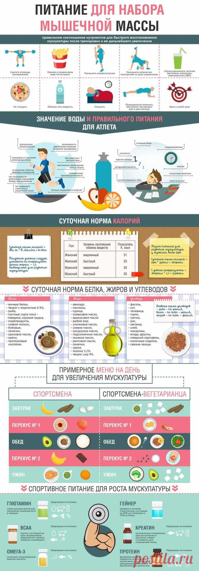 Питание для набора мышечной массы