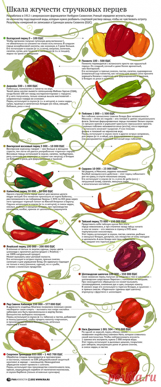Шкала жгучести стручковых перцев - РИА Новости, 18.07.2012