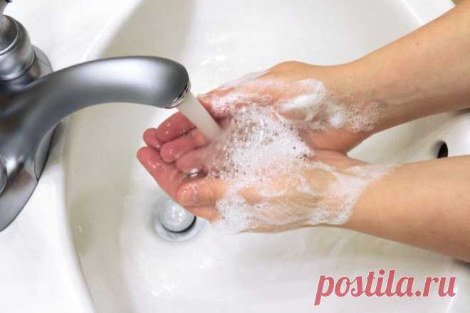 (+1) тема - Чем антибактериальное мыло опасно для здоровья? | Среда обитания