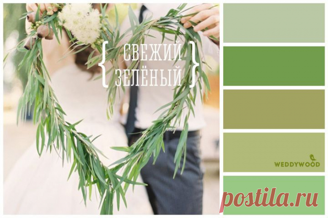 Вдохновение цветом: свежесть зелёного - WeddyWood