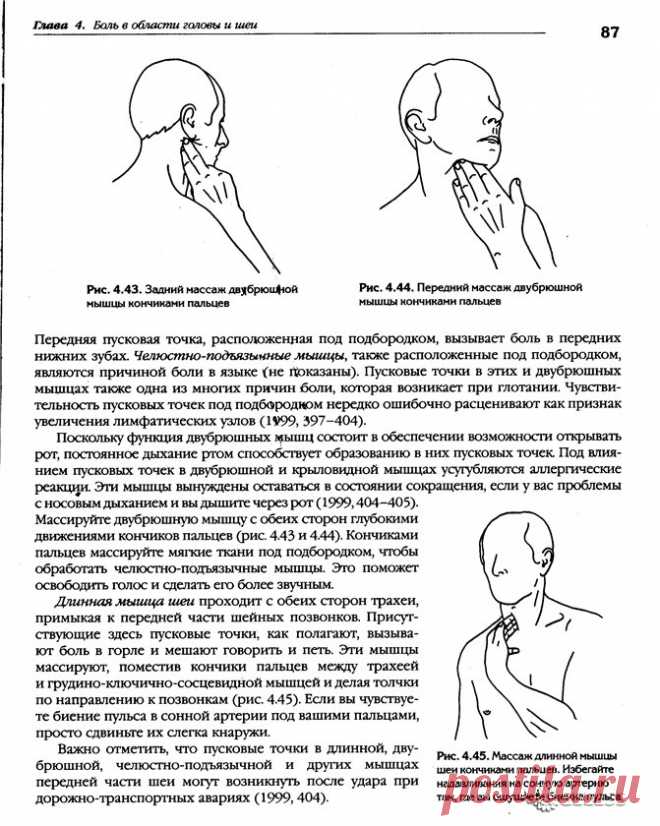 Точки болезненности. Полуостистая мышца шеи триггерные точки. Мышцы лица болевые точки. Триггерные точки мышц шеи и головы. Акупрессура триггерных точек.