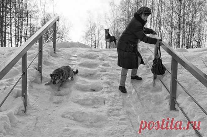 Русский национальный вид зимнего Олимпийского спорта