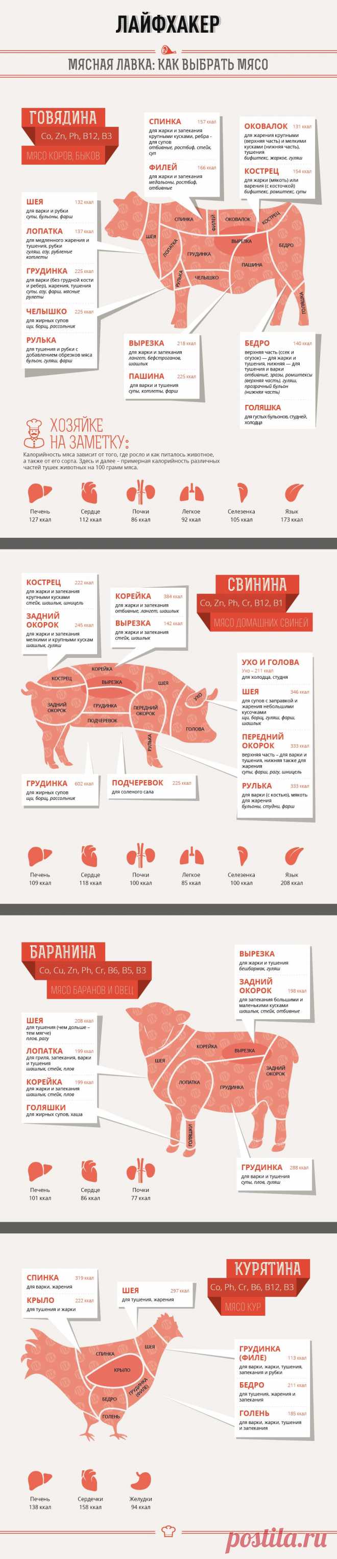 ИНФОГРАФИКА: Мясная лавка – как выбрать мясо | Лайфхакер