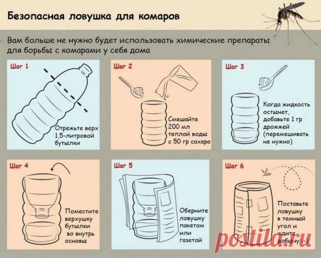 Обещаю до утра защищать от комара / Дачные советы / 7dach.ru