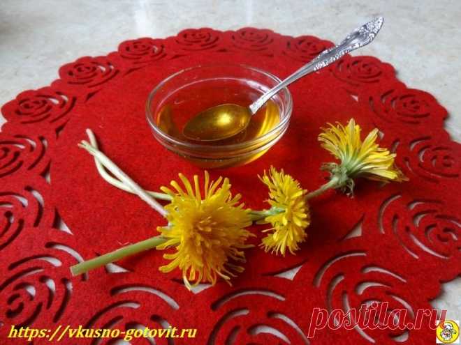 Мёд из одуванчиков – рецепт приготовления из 200 цветков в домашних условиях