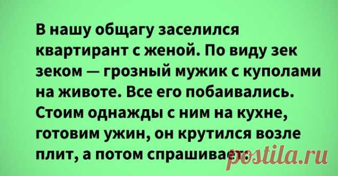 Теплые истории о жизни и очень хороших соседях