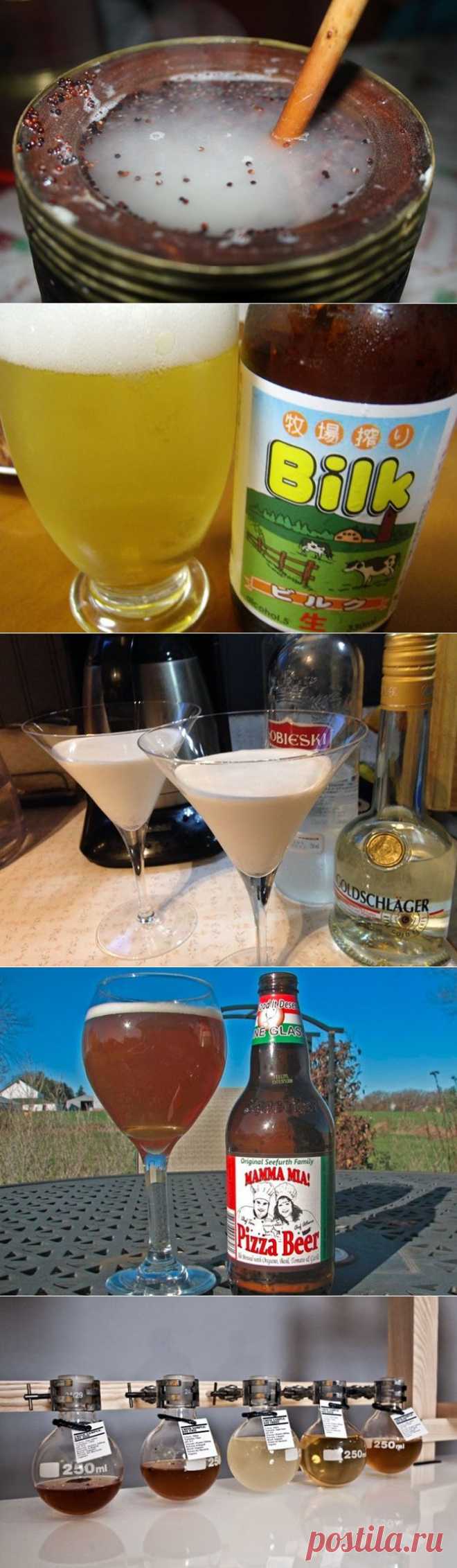(+1) тема - Самые странные алкогольные напитки в мире | НАУКА И ЖИЗНЬ