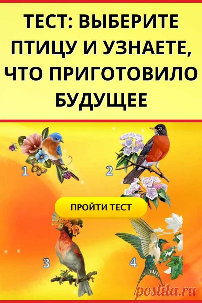 Тест: Выберите птицу и узнаете, что приготовило будущее