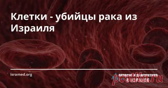 Клетки - убийцы рака из Израиля Занимаясь разработкой нового способа лечения рака, израильские ученые выяснили, что добиться успеха можно лишь посредством изменения иммунной системы. Для достижения этой цели израильтяне использовали лейкоциты, способные активно бороться с зараженными вирусом клетками и другими атаками на наш организм.