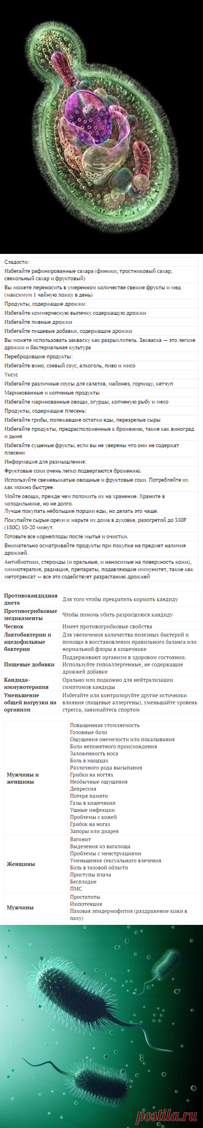 Кандида: грибок внутри нас — продукты, которые нужно избегать