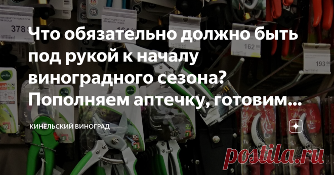 Что обязательно должно быть под рукой к началу виноградного сезона? Пополняем аптечку, готовим удобрения, проверяем инструмент Можно разделить подготовительные работы к сезону на три типа:
подготовка к укоренению черенков
подготовка к посадке саженцев
текущие работы с виноградом, который уже растет на участке.