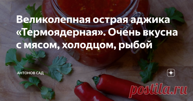 Великолепная острая аджика «Термоядерная». Очень вкусна с мясом, холодцом, рыбой 3 кг помидор
1 кг болгарского перца
500 гр моркови
150 гр острого стручкового перца