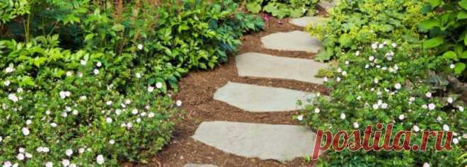 Как сделать основание для садовой дорожки Сухая смесь, бетонная стяжка и другие популярные на FORUMHOUSE способы.