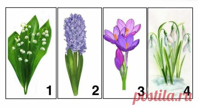 Психологический тест для женщин: выберите цветок и узнайте, чего вам не хватает в данный момент | Haip.info | Яндекс Дзен