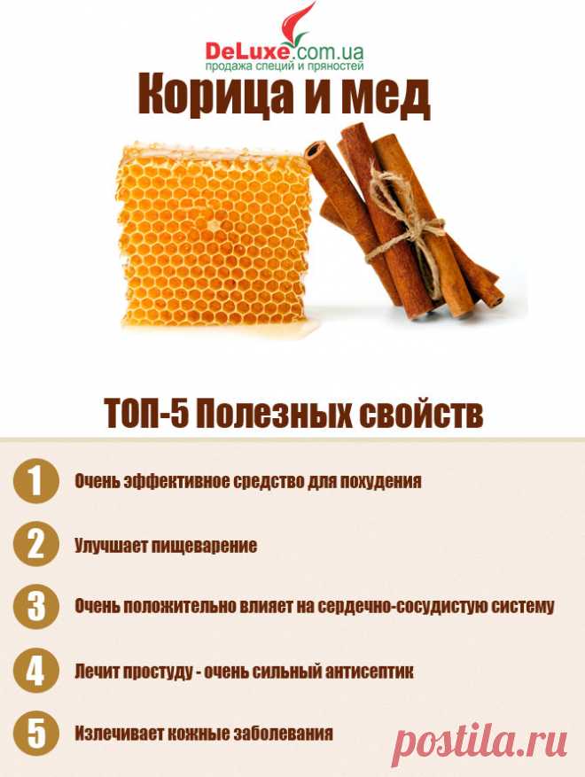 Корица и мед Полезные свойства Рецепты