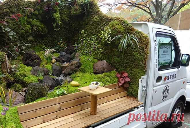Это могли придумать только в Японии — крутые мобильные мини-сады