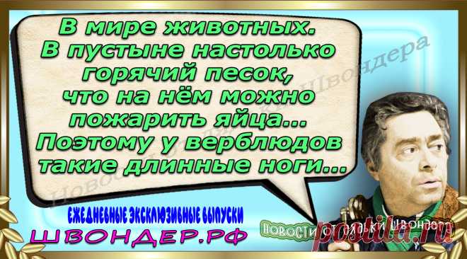 Новости от дядьки Швондера, классный анекдот, смешная фраза, веселая фенечка, каламбур, афоризмы, смех, забавные картинки, сложный юмор, непонятные анекдоты, цитаты из интернета, мэмчик, развлечение, Швондер говорит, Шариков, Собачье сердце, улыбка до ушей, веселый сайт, забава, смешарик, мем, потеха, картинка со смыслом, фарс, наколка, мемасик, шутка, юмор, анекдоты в картинках, юмор в картинках, свежие приколы, Швондер, смешная фишка, улыбка, интересное в сети, смех, швондер.рф, #швондер.рф