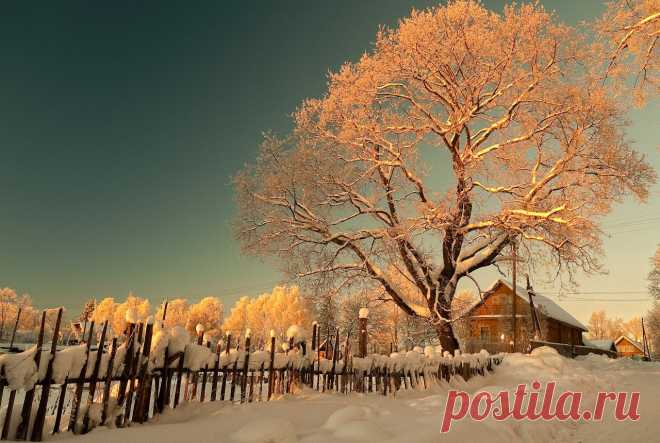 В деревне вечереет... Питерская губерния.. Photographer www.klimofoto.ru