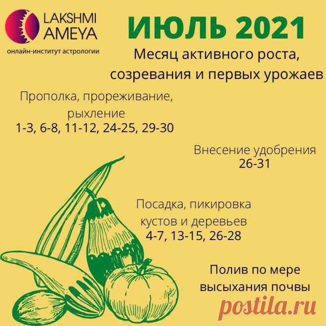 Лунный календарь на ИЮЛЬ 2021: планируйте садово-огородные работы вместе с астрологами
Ловите лунный календарь садовода и огородника на июль 2021 от астрологов Института...
Читай дальше на сайте. Жми подробнее ➡