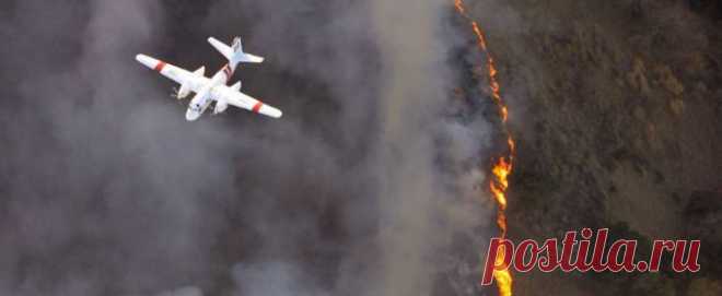 Калифорнийские пожарные ради укрощения масштабного пожара подожгли лес