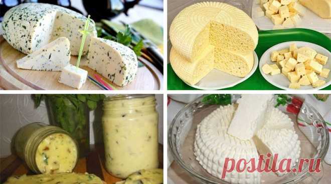 Домашние сыры. 15 проверенных вариантов приготовления - interesno.win Приготовление домашнего сыра — не такая сложная задача, как может показаться на...