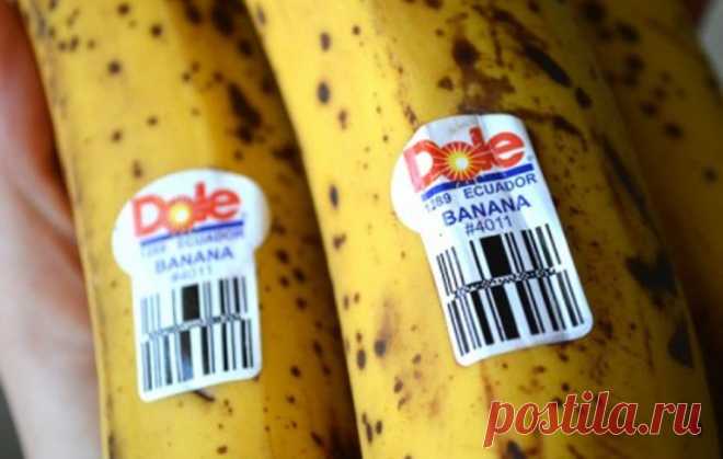 Будьте осторожны, когда покупаете бананы! Знаете ли вы, что означают ЭТИ наклейки? | KaifZona.Ru