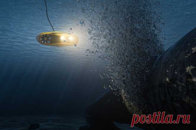 Смертельный удар «Ската». Студенты из Сибири создали подводный боевой дрон. Подводный боевой дрон «Скат» может ставить мины и вести водную разведку